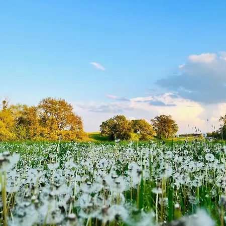 Schlafen Im Atelier - Einzigartiges Gaestezimmer Am Ammersee 民宿 阿默湖畔雄多夫