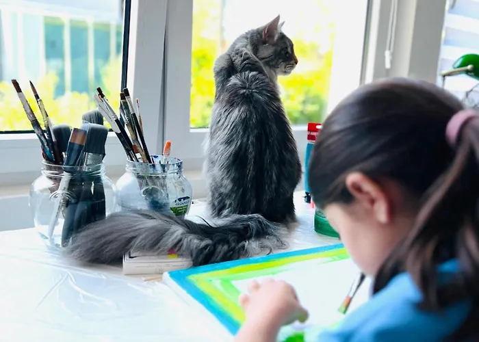Schlafen Im Atelier - Einzigartiges Gaestezimmer Am Ammersee